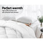 Giselle Bedding 400GSM Bamboo Blend Microfibre Quilt – King