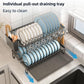CARLA HOME 2-Tier Dish Drying Rack with Drainage Tray, Utensil Holder, Cup Hooks & Cutting Board Rack for Kitchen (Black)