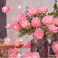 20 Pink Rose 3D Fairy Lights 3M String, Battery (AA) Indoor & Outdoor Decorations Wedding Valentines Romantic Room Table Lighting