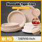 100x Biodegradable Sugarcane Paper Trays - Eco-Friendly & Durable for  Food - 9inches-100pcs