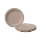 100x Biodegradable Sugarcane Paper Trays - Eco-Friendly & Durable for  Food - 9inches-100pcs