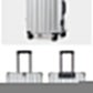 Aluminum Alloy Hard-Shell Suitcase with TSA Lock -20" Spinner Luggage in Silver