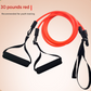 Red Handle Model [Training Strength] [30lbs] Swim Resistance Band Trainer - Dry-Land Arm Strength & Stroke Exercise Cords