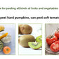 Premium Stainless Steel Dual Peeler & Julienne Cutter - 2-in-1 Vegetable Slicer with Swivel Blade - Heavy Duty Multi-Function Kitchen Tool for Potatoes, Carrots & Fruit