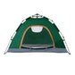 Weisshorn Camping Tent Instant Tent Pop up 2 Person Outdoor Hiking Tents Hiking Green